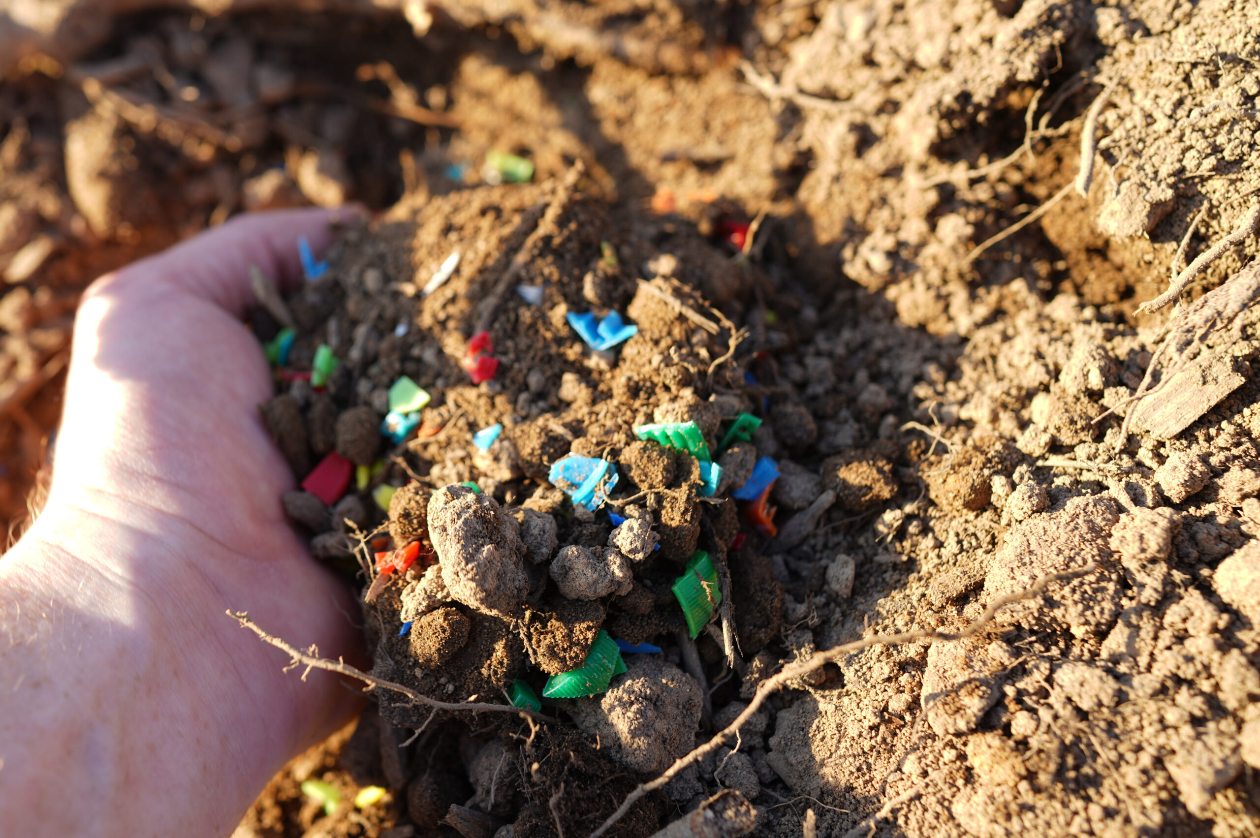 Microplastic pollution. Microplastics in ground. Soil contaminated with microplastics. Plastic waste in soil, earth. Environmental, groundwater disaster. Plastic waste in ground at agricultural field.