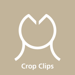 crop clip_brwn_txt-01